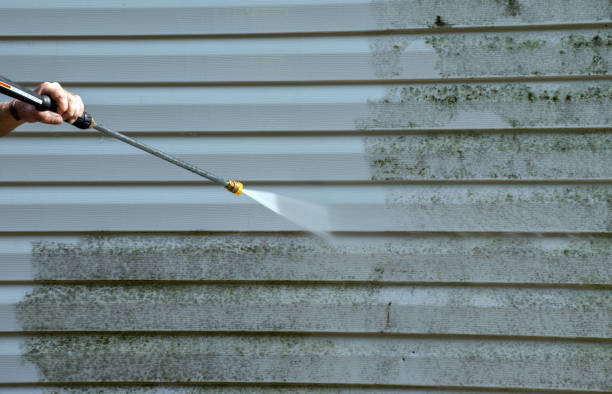 Best Commercial Pressure Washing  in Owensville, IN